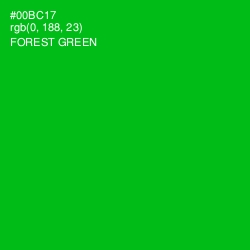 #00BC17 - Forest Green Color Image